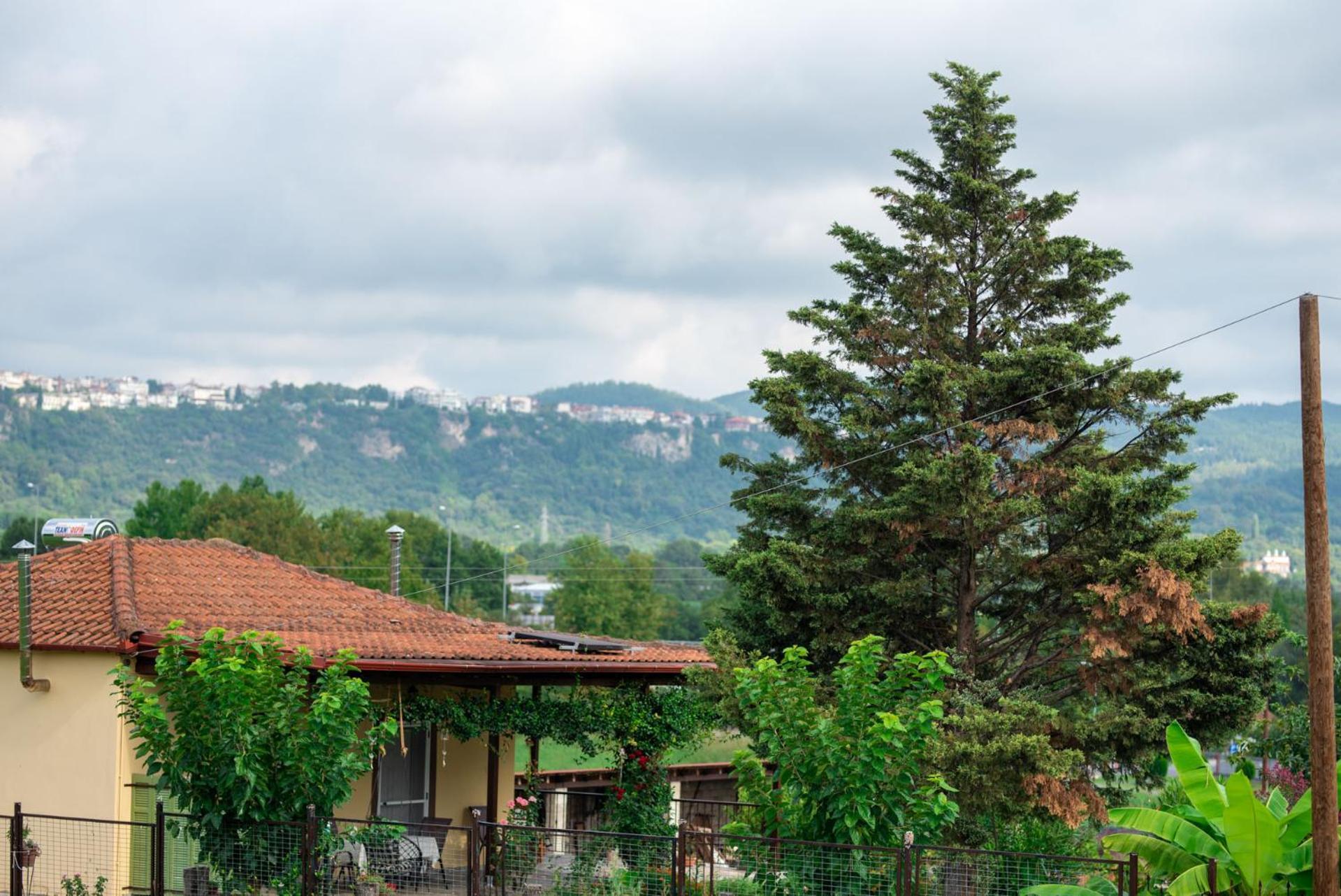 Cottage Lina Edessa Exteriér fotografie